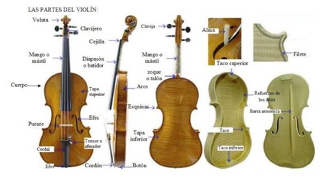 partes_del_violin_esp_1