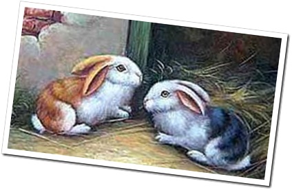 156145_conejos-dibujos-3