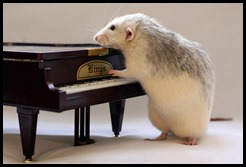 ratón piano
